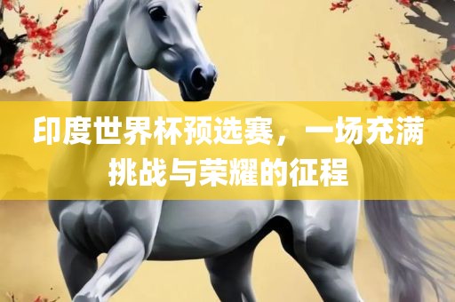 印度世界杯预选赛，一场充满挑战与荣耀的征程广西贺州市华昌新材料有限公司