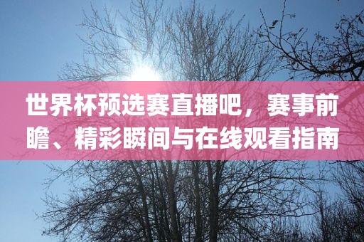 世界杯预选赛直播吧，赛事前瞻、精彩瞬间与在线观看指南广西贺州市华昌新材料有限公司