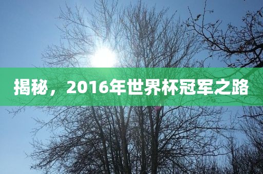 揭秘，2016年世界杯冠军之路