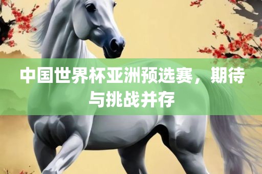 中国世界杯亚洲预选赛，期待与挑战并存