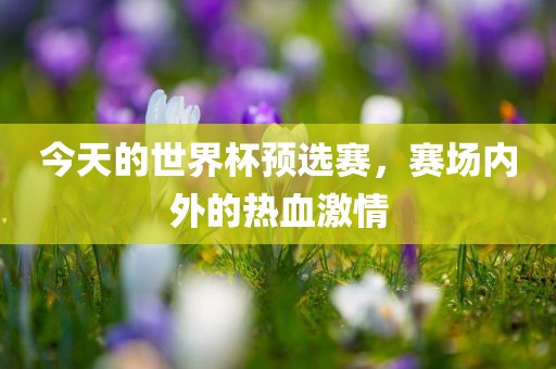 世界杯预选赛 第6页