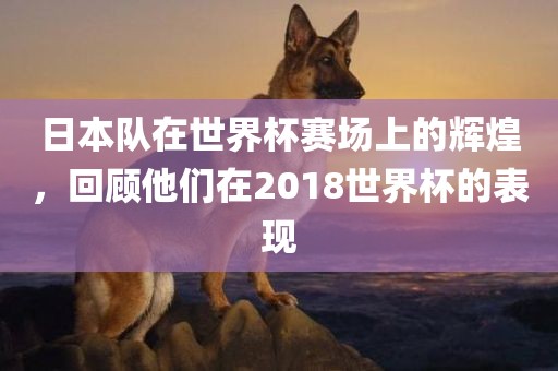日本队在世界杯赛场上的辉煌，回顾他们在2018世界杯的表现