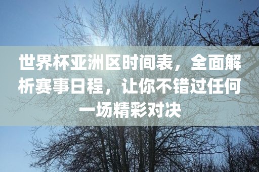 世界杯亚洲区时间表，全面解析赛事日程，让你不错过任何一场精彩对决