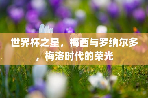 世界杯之星，梅西与罗纳尔多，梅洛时代的荣光