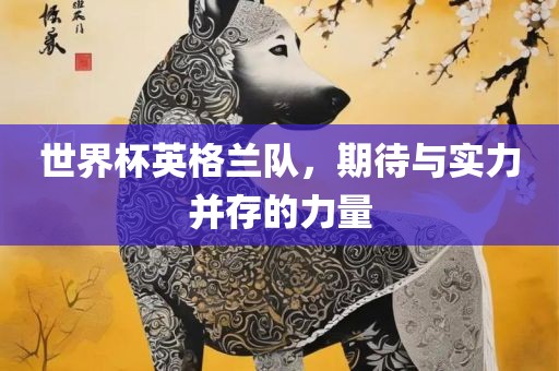 世界杯英格兰队，期待与实力并存的力量