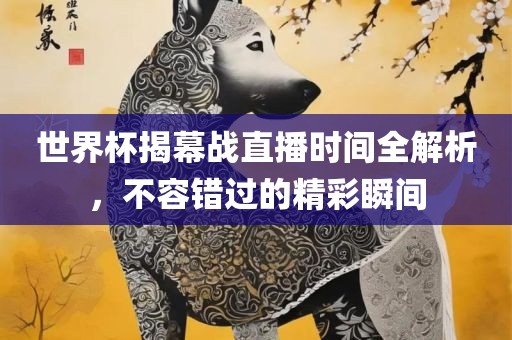 世界杯揭幕战直播时间全解析，不容错过的精彩瞬间