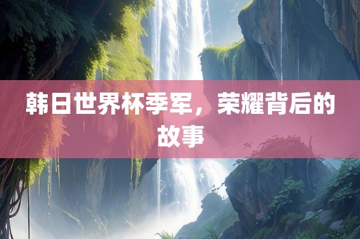 韩日世界杯季军，荣耀背后的故事