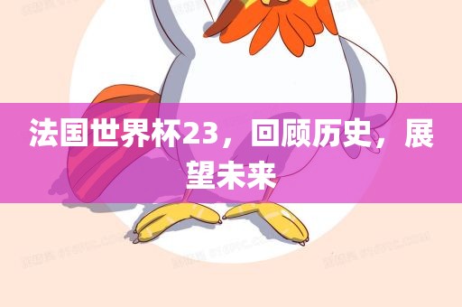法国世界杯23，回顾历史，展望未来
