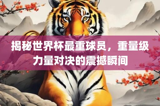 揭秘世界杯最重球员，重量级力量对决的震撼瞬间广西贺州市华昌新材料有限公司