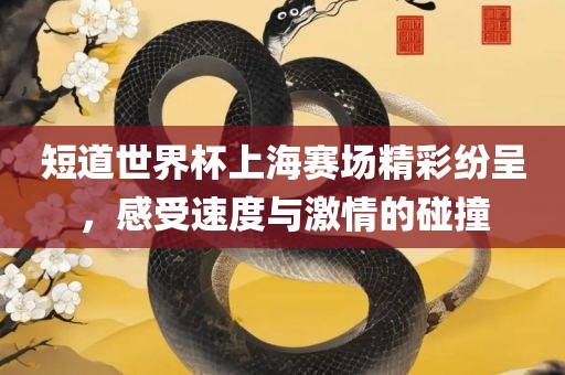 短道世界杯上海赛场精彩纷呈，感受速度与激情的碰撞广西贺州市华昌新材料有限公司