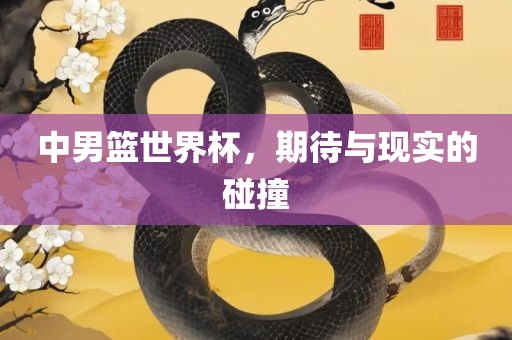 中男篮世界杯，期待与现实的碰撞