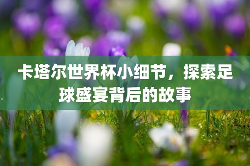 卡塔尔世界杯小细节，探索足球盛宴背后的故事