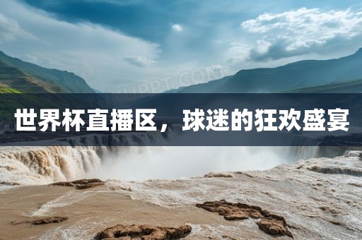世界杯直播区，球迷的狂欢盛宴