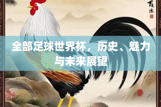 全部足球世界杯，历史、魅力与未来展望