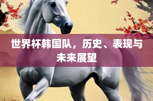 世界杯韩国队，历史、表现与未来展望