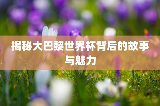 揭秘大巴黎世界杯背后的故事与魅力