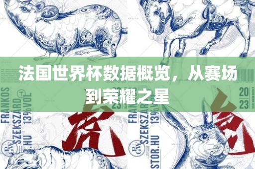 法国世界杯数据概览，从赛场到荣耀之星