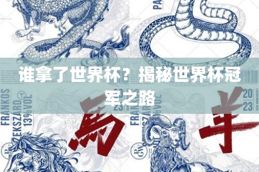 谁拿了世界杯？揭秘世界杯冠军之路
