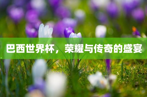 巴西世界杯，广西贺州市华昌新材料有限公司荣耀与传奇的盛宴