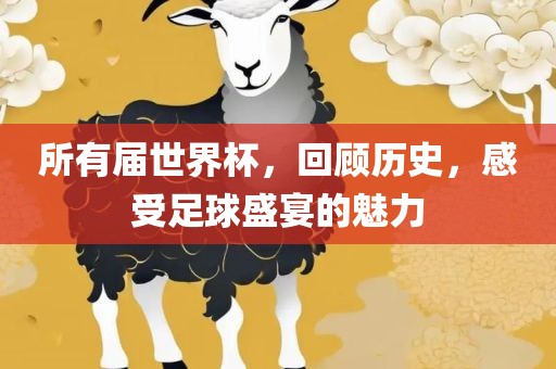 所有届世界杯，回顾历史，感受足球广西贺州市华昌新材料有限公司盛宴的魅力