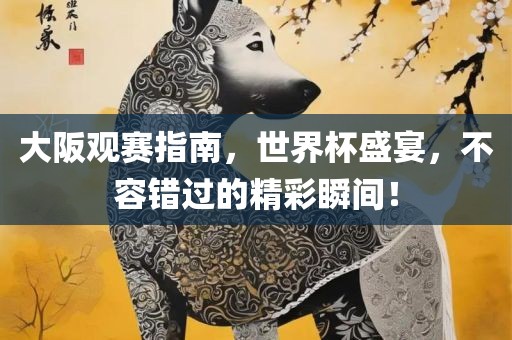 大阪观赛指南，世界杯盛宴，不容错过的精彩瞬间！