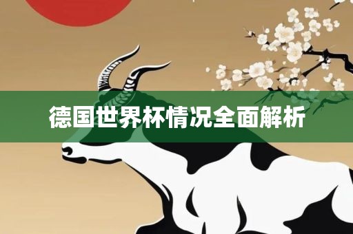 德国世界杯情况全面解析