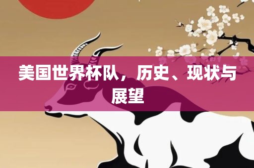 美国世界杯队，历史、现状与展望广西贺州市华昌新材料有限公司