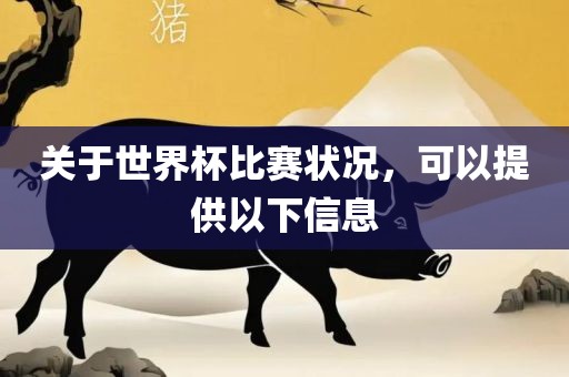 关于世界杯比赛状况，可以提供以下信息
