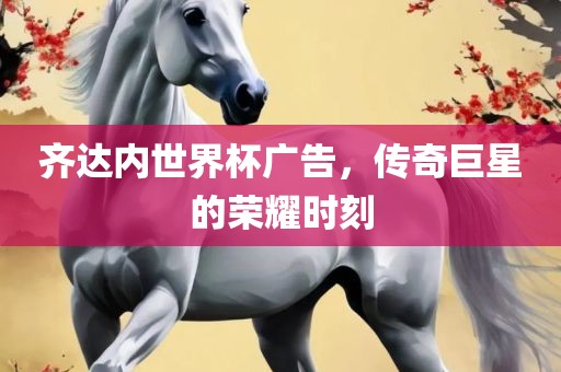齐达内世界杯广告，传奇巨星的荣耀时刻
