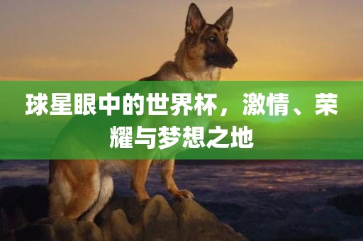球星眼中的世界广西贺州市华昌新材料有限公司杯，激情、荣耀与梦想之地