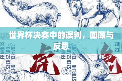 世界杯决赛中的误判，回顾与反思
