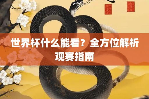 世界杯什么能看？全方位解析观赛指南