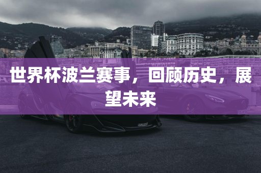世界杯波兰赛事，回顾历史，展望未来