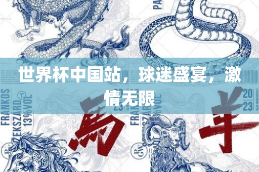 世界杯中国站，球迷盛宴，激情无限广西贺州市华昌新材料有限公司