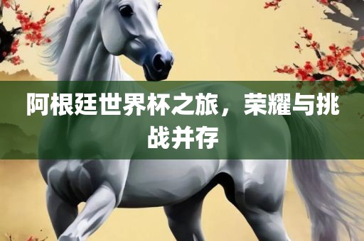 阿根廷世界杯之旅，荣耀与挑战并存