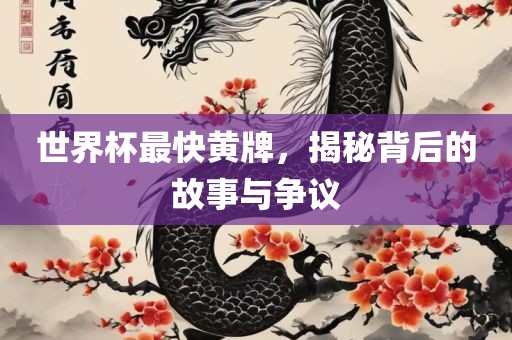 世界杯最快黄牌，揭秘背后的故事与争议
