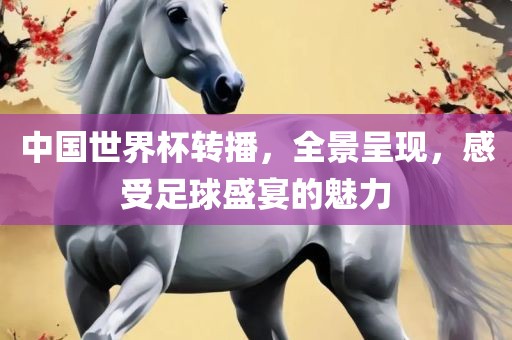 中国世界杯转播，全景呈现，感受足球盛宴的魅力