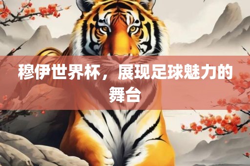 穆伊世界杯，展现足球魅力的舞台广西贺州市华昌新材料有限公司