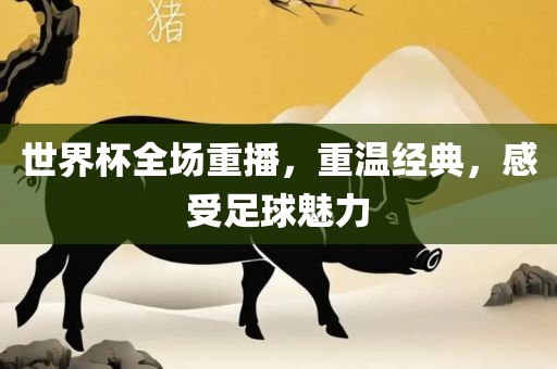 世界杯全场重播，重温经典，感受足球魅力广西贺州市华昌新材料有限公司