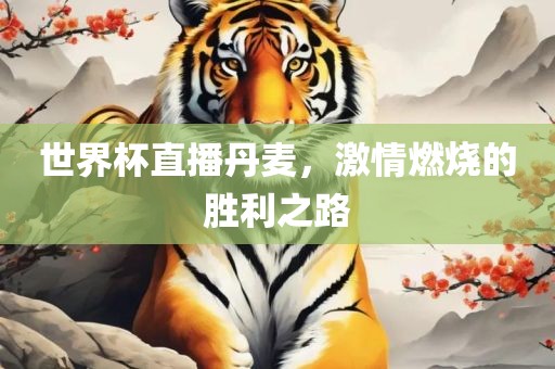 世界杯直播丹麦，激情燃烧的胜利之路