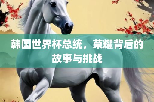 韩国世界杯总统，荣耀背后的故事与挑战