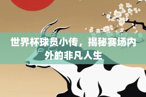 世界杯球员小传，揭秘赛场内外的非凡人生