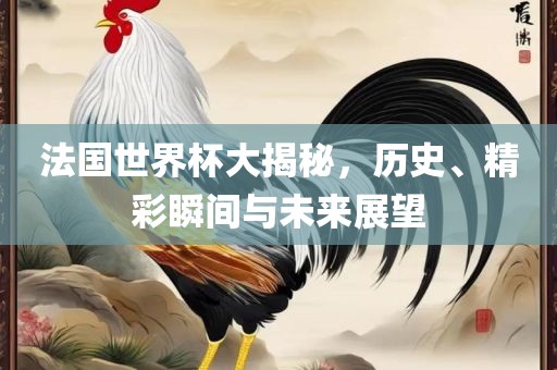 法国世界杯大揭秘，历史、精彩瞬间与未来展望