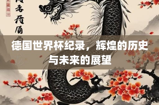 德国世界杯纪录，辉煌的历史与未来的展望
