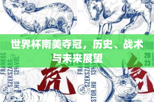 世界杯南美夺冠，历史、战术与未来展望