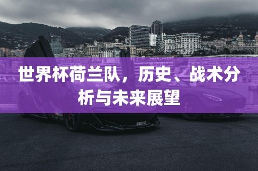 世界杯荷兰队，历史、战术分析与未来展望
