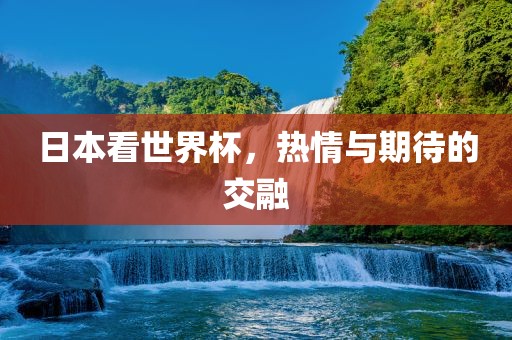 日本看世界杯，热情与期待的交融