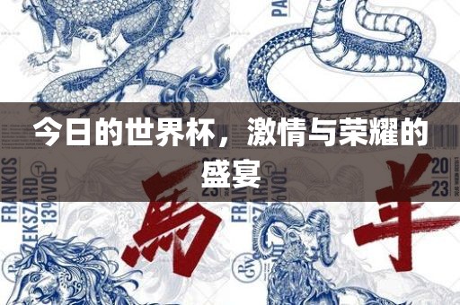 广西贺州市华昌新材料有限公司今日的世界杯，激情与荣耀的盛宴