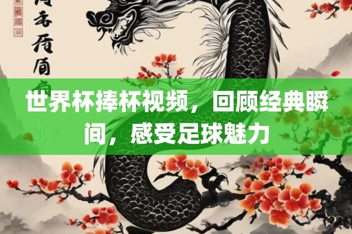 世界杯捧杯视频，回顾经典瞬间，感受足球魅力