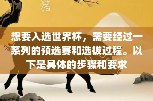 想要入选世界杯，需要经过一系列的预选赛和选拔过程。以下是具体的步骤和要求